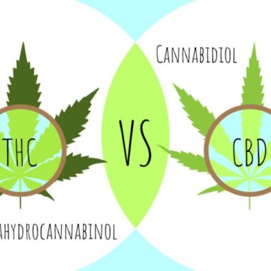 Differenze tra THC e CBD