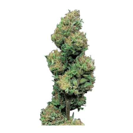 Cento grammi di cannabis light - infiorescenza