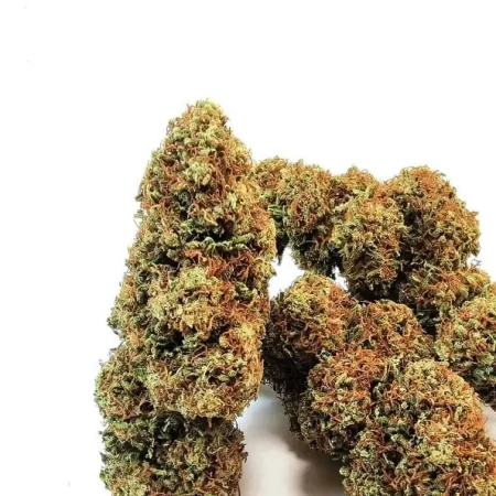 Orange Bud Cannabis legale